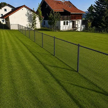 Sonnenblume Ferienhaus